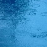 Rain Ripples